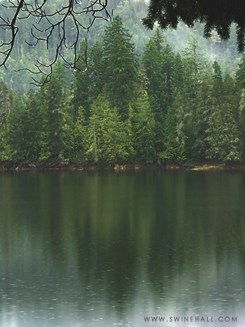 Spider Lake, Vancouver Island, B.C.