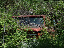 Organic Truck t2
