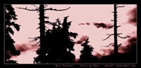 Piece on Skis