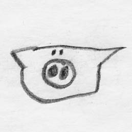 Swine